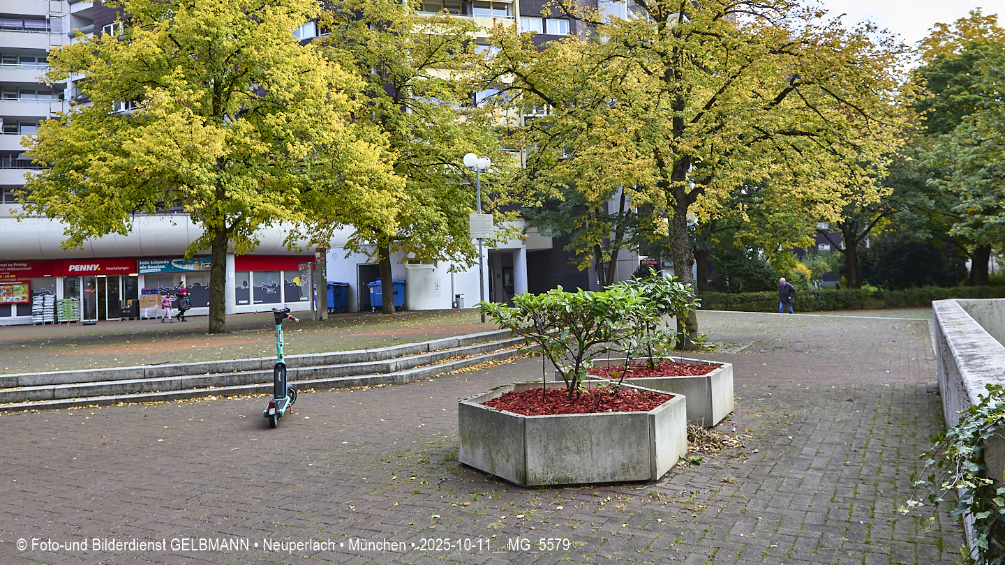 Pflanzen in meiner Burg